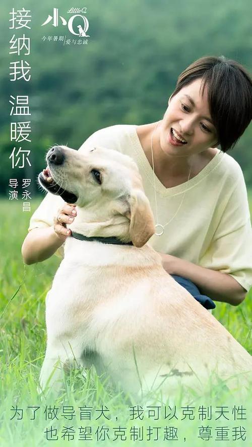 黑尔德克私立大学ElectronicEngineeringDegreeCertificate